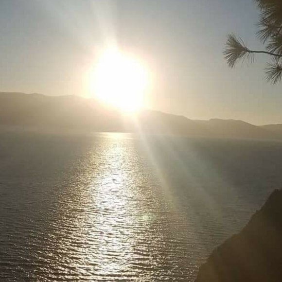 Meet your Posher, Yolanda - Picture 1 of 1